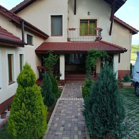 Apartamento Casa Doina Băile Felix Exterior foto