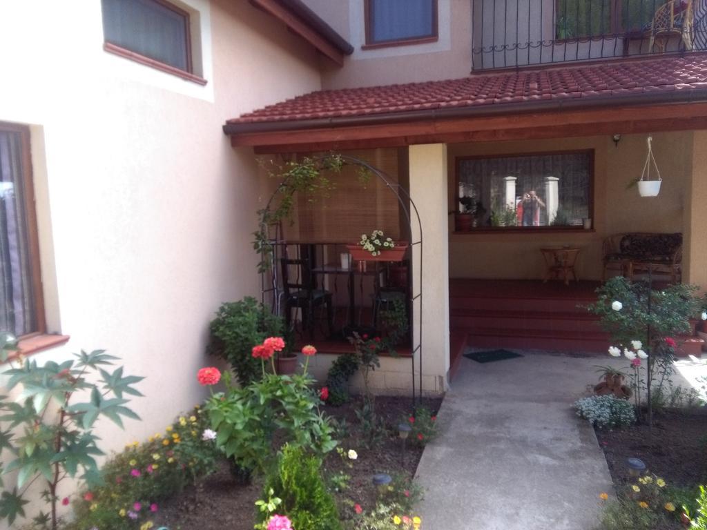 Apartamento Casa Doina Băile Felix Exterior foto